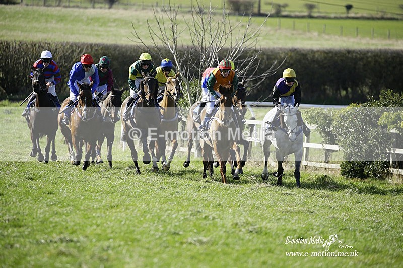 PtP 260222 198 - Kingston Blount Racing Club Point-to-Point 26/02/22