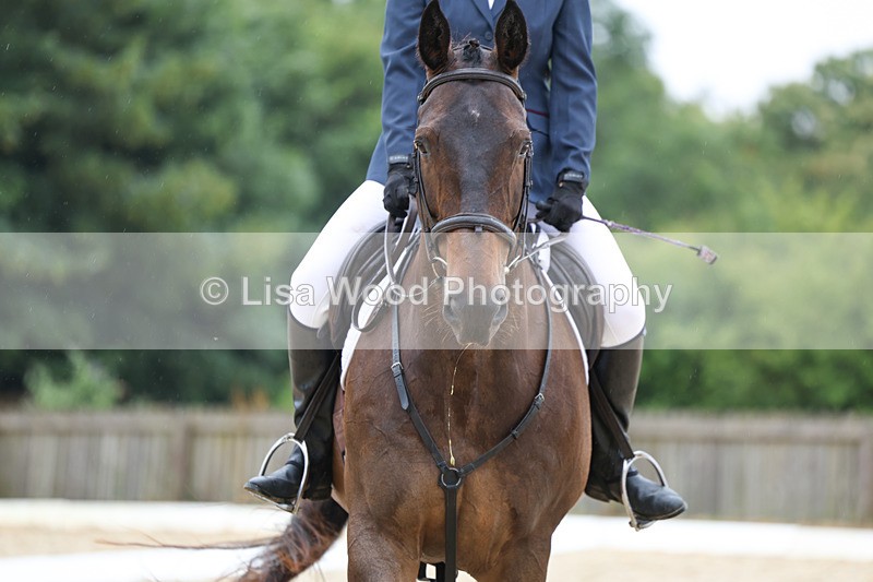 3E7A7852 - Class 1: Intro 3 2024 section A