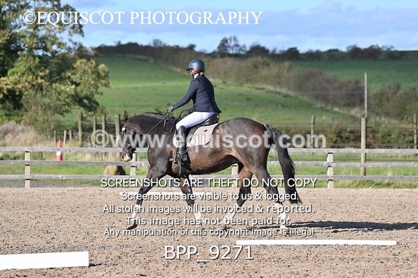 BPP_9271 - SHORT ARENA