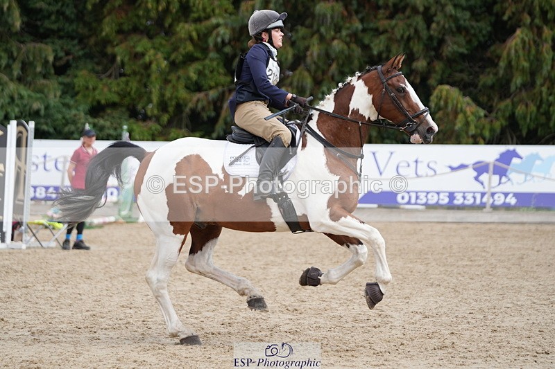 250824A-133117-37540 - 2125-Hen.Jeanes-Painted.proper