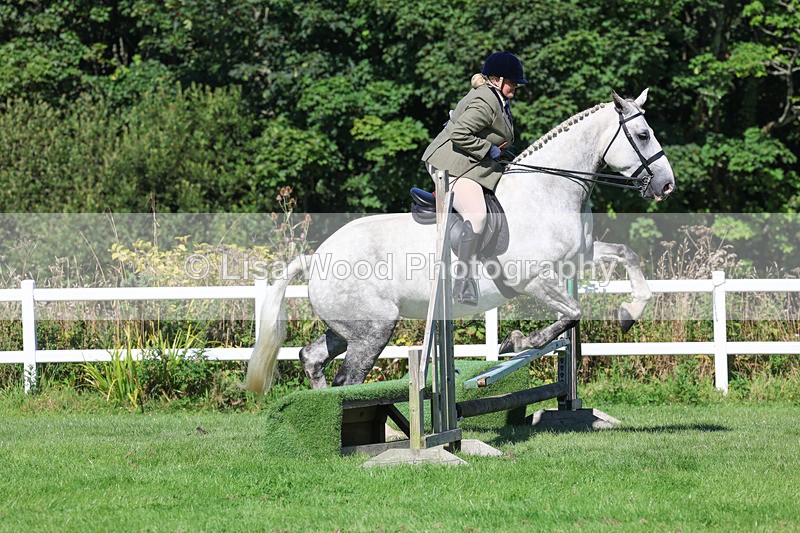 3E7A8249 - Class 4: Novice working Hunter