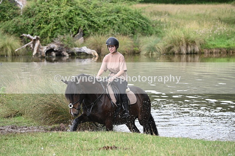 WJ7_4299 - Time at Water 12:52 to 13:22