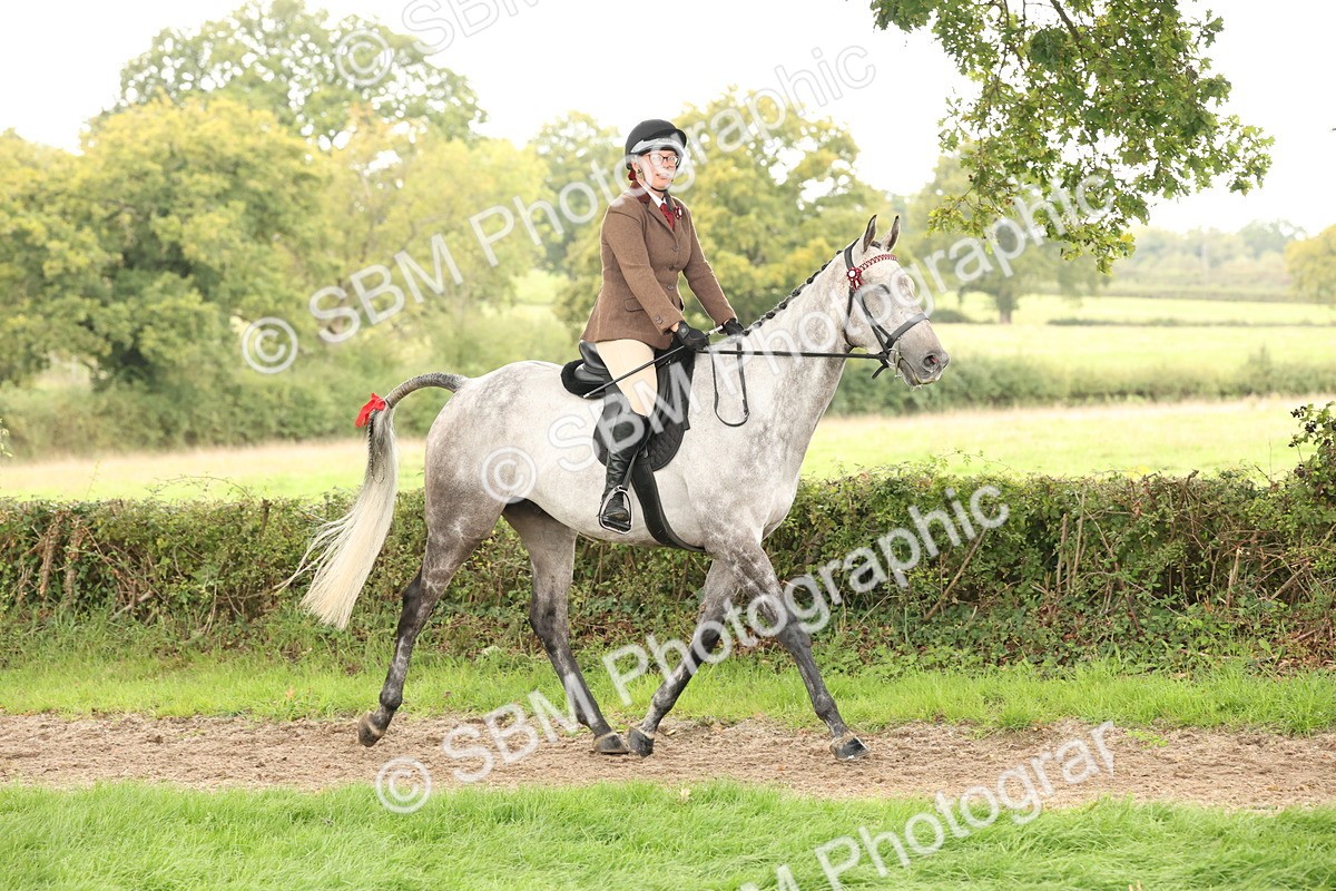 SBM_64151 - S65 - Riding Horse & Hack & Thoroughbred Ridden