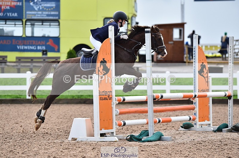 231029A-103740-02353 - 70cm Pony Intro