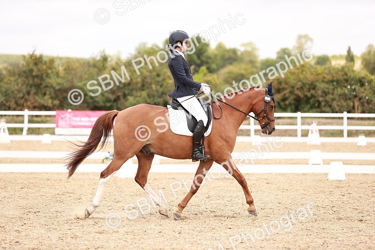 SBM_019288 - Class 20 - Medium 5