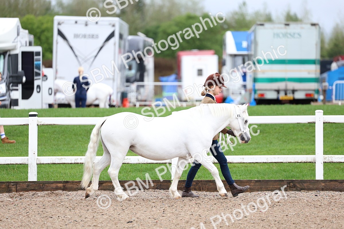 SBM_00213 - Class 13 - Young Handler