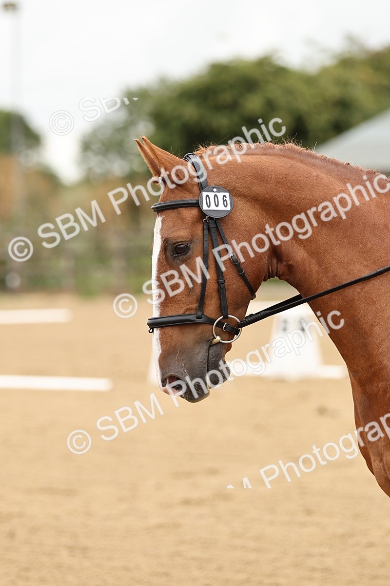 SBM_002167 - Prelim 1