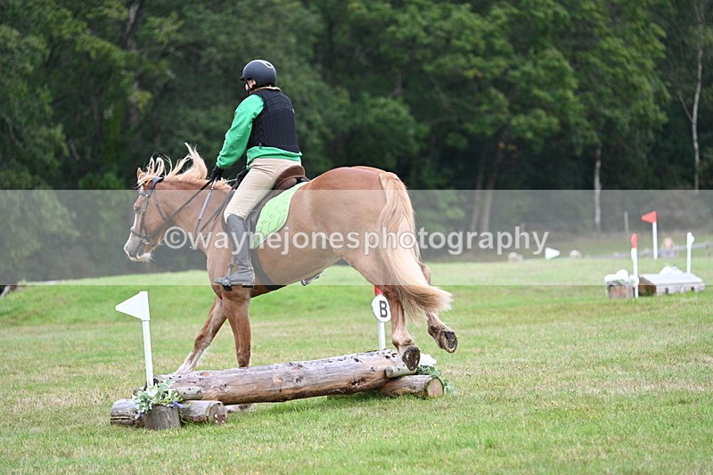 WJ7_7832 - 40cm Time 10:49 to 11:18