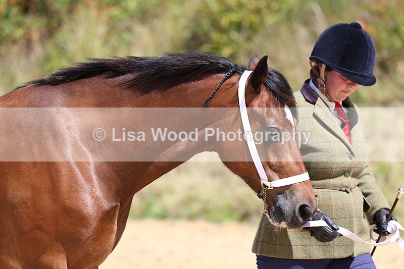 3E7A9613 - Class 32: Best Grass Kept