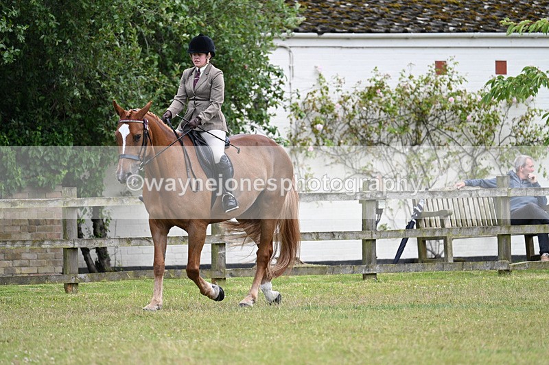 WJ7_9189 - Class 8 Ridden Veterans