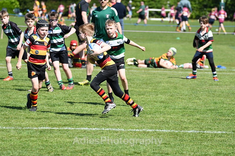  - Selby Rugby Festival 2025