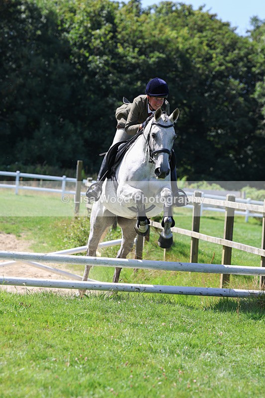 3E7A8587 - Class 5: Working Show Horse