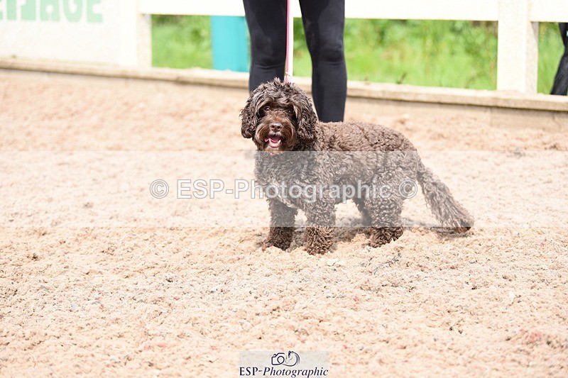 240518A-115214-00850 - Cls 2 Prettist Bitch