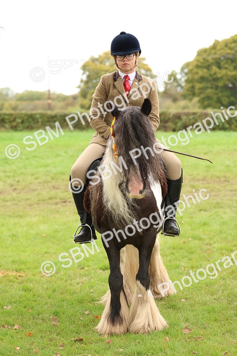 SBM_60003 - S36 - Rehabiliated Rescue Horse & Pony In Hand & Ridden