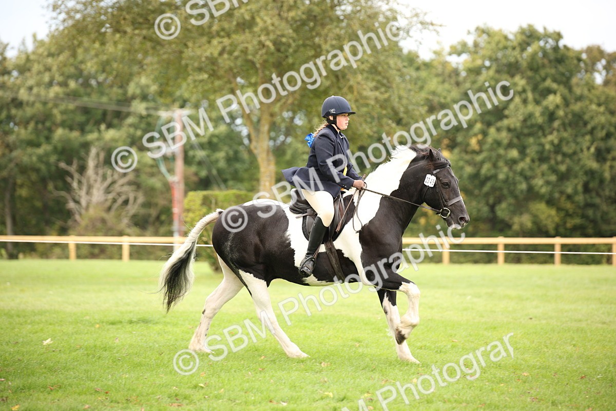 SBM_72414 - S67 - Show Cob Ridden