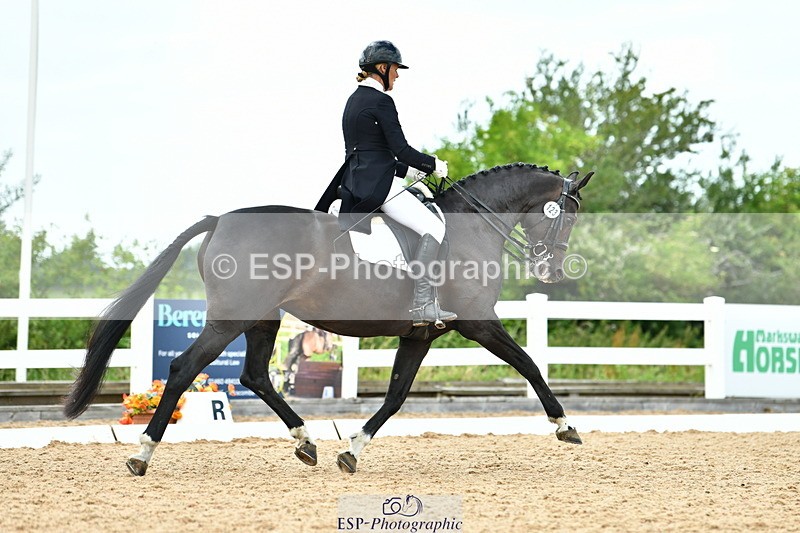 230702A-155100-11028 - Cls 37 + 42 FEI PSG + GP