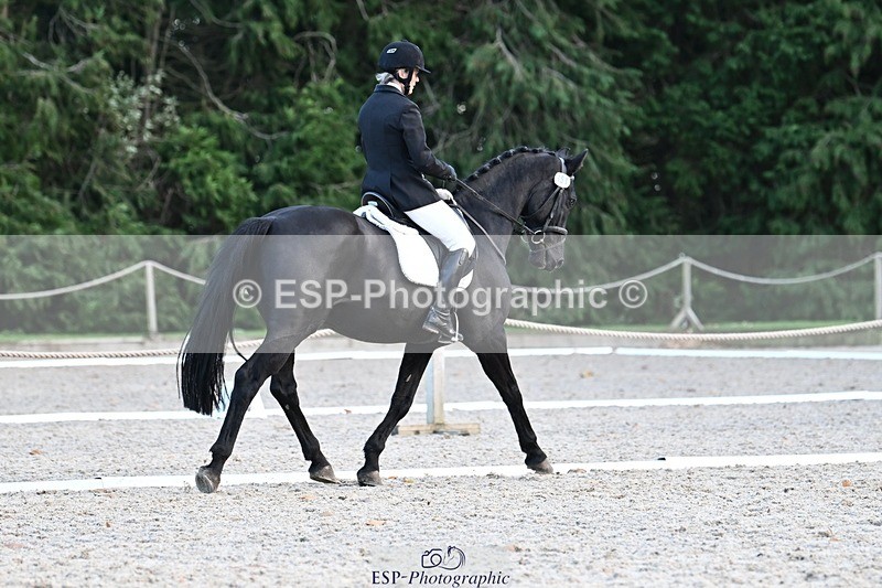 231110-134547-01046 - Cls 4 Novice 39Q