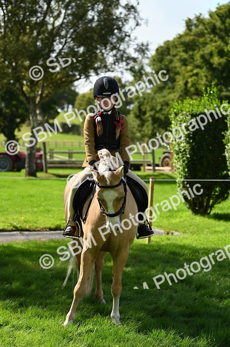 SBM_02839 - S3 - TSR Ridden Pony Showing