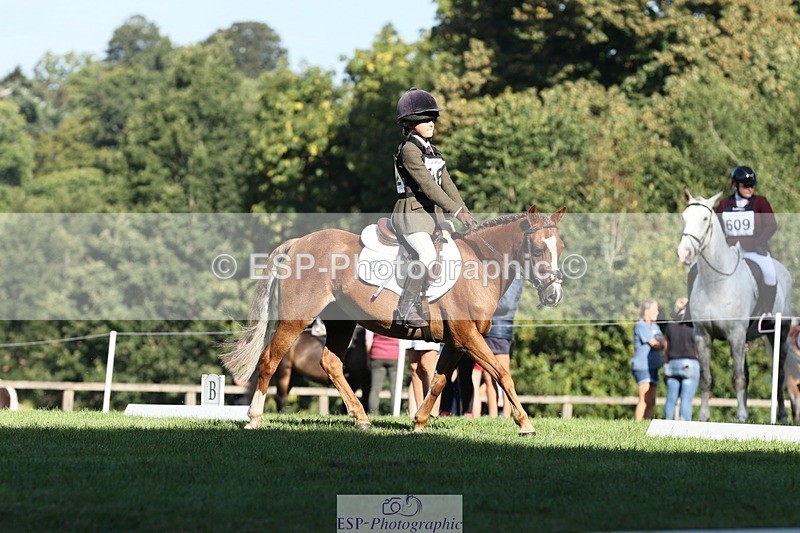 250823A-091845-25918 - Arena D