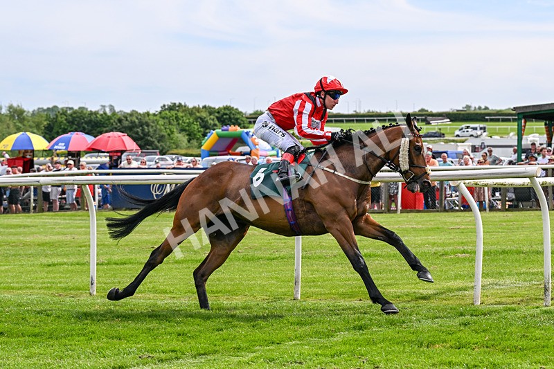 300526-Race 5-Holbache-0695 - Race 5 16.12pm Ann Whitehouse Memorial Veterans' Handicap