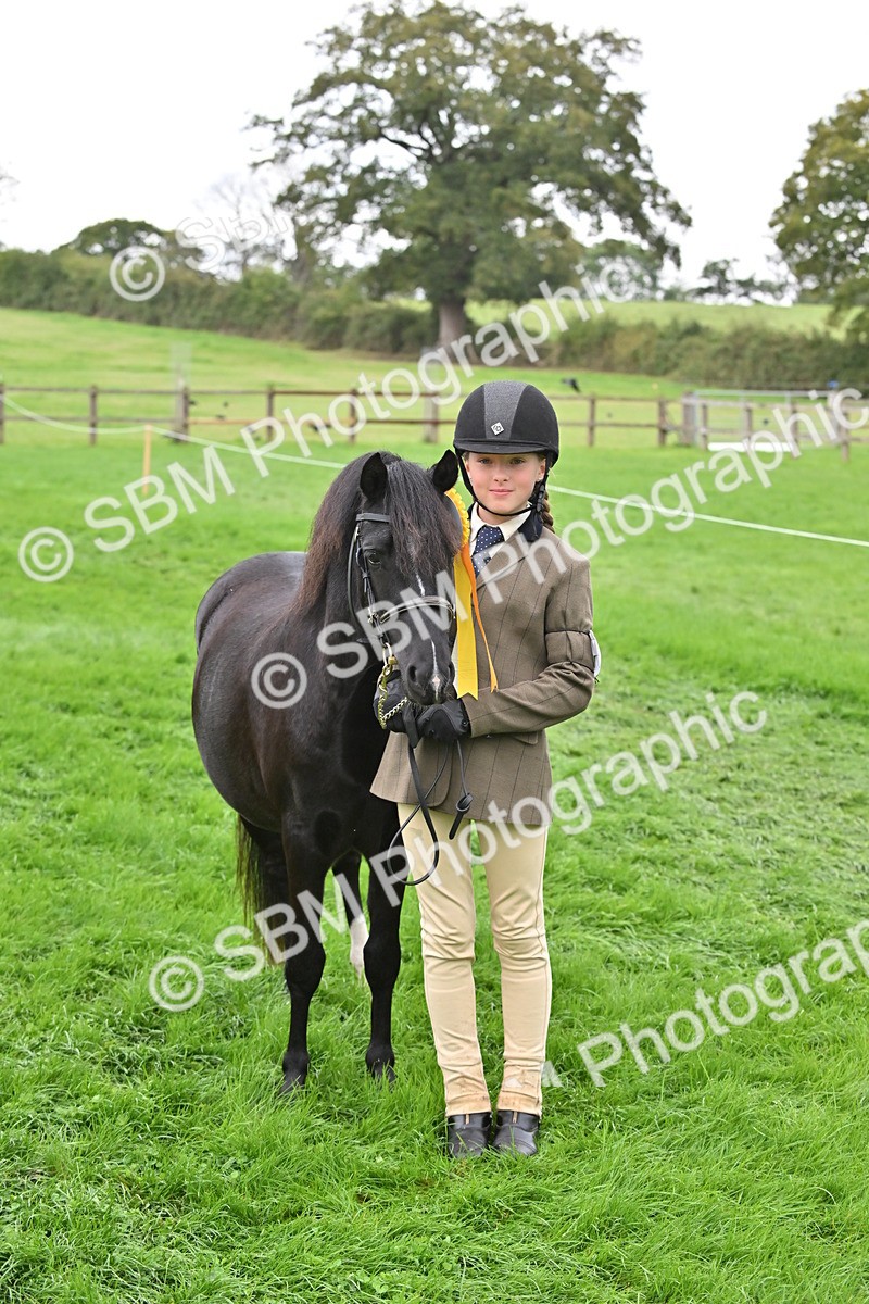 SBM_61099 - S48 - Mountain & Moorland In Hand Small Breeds