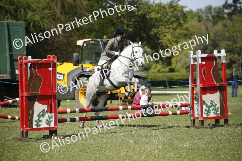 20250427-2293 - Class 13 - Novice Jumping 60cm