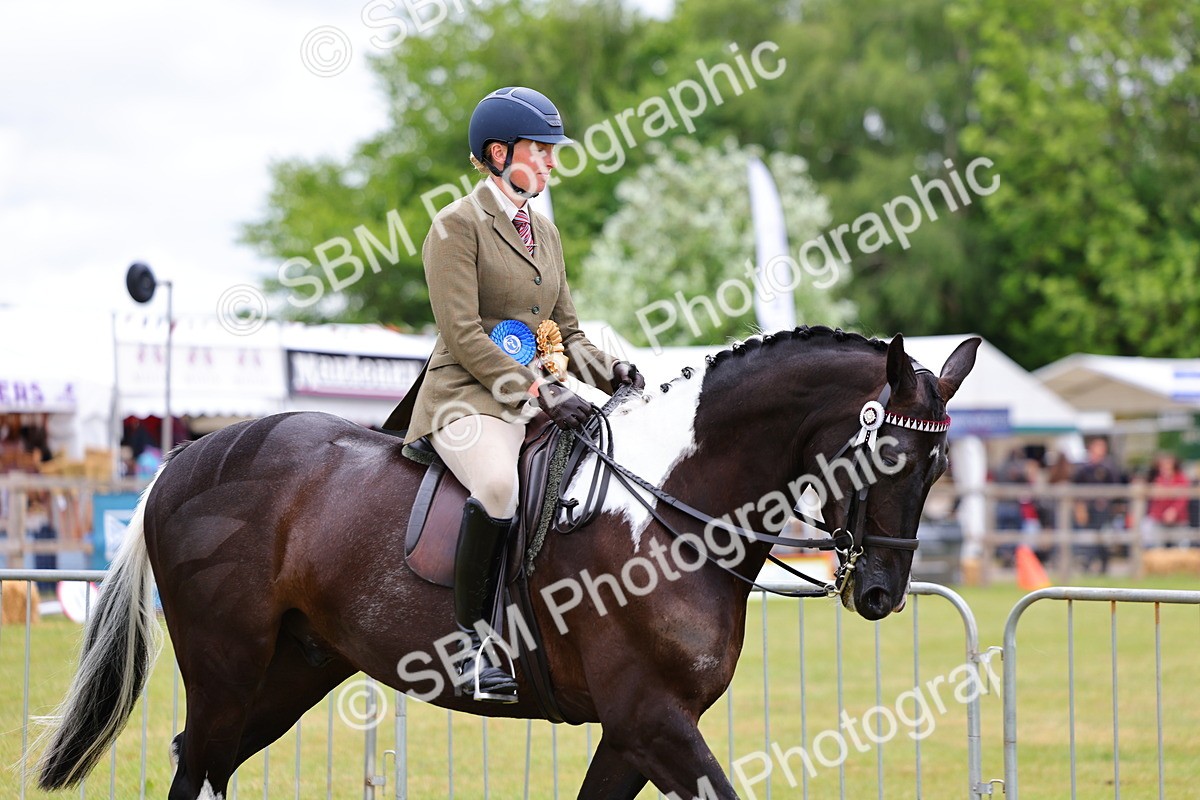 SBM_02586 - Class 9-11 Side Saddle including LIHS Rising Star Ladies Show Horse