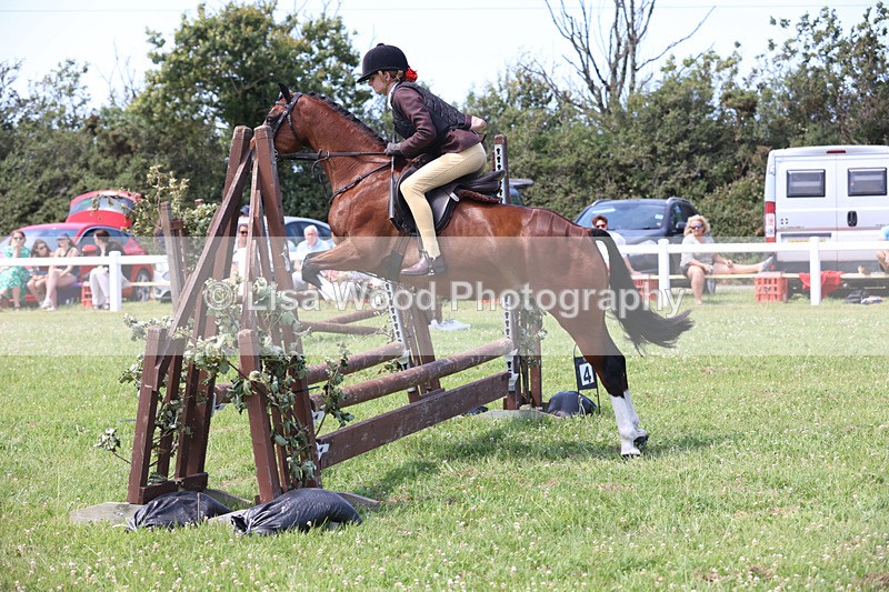 JPP_2631 - Class 21: Working Hunter 60cm