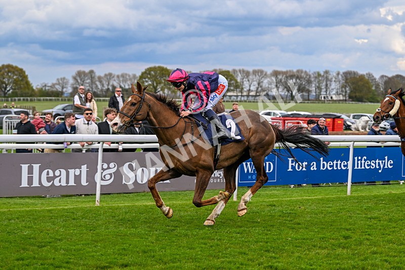 150426-Race 5-Elysian Flame-7119 - Race 5