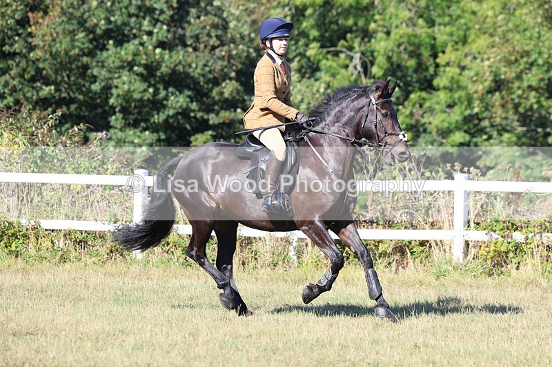 3E7A5489 - Class 3: Working Hunter 70cm