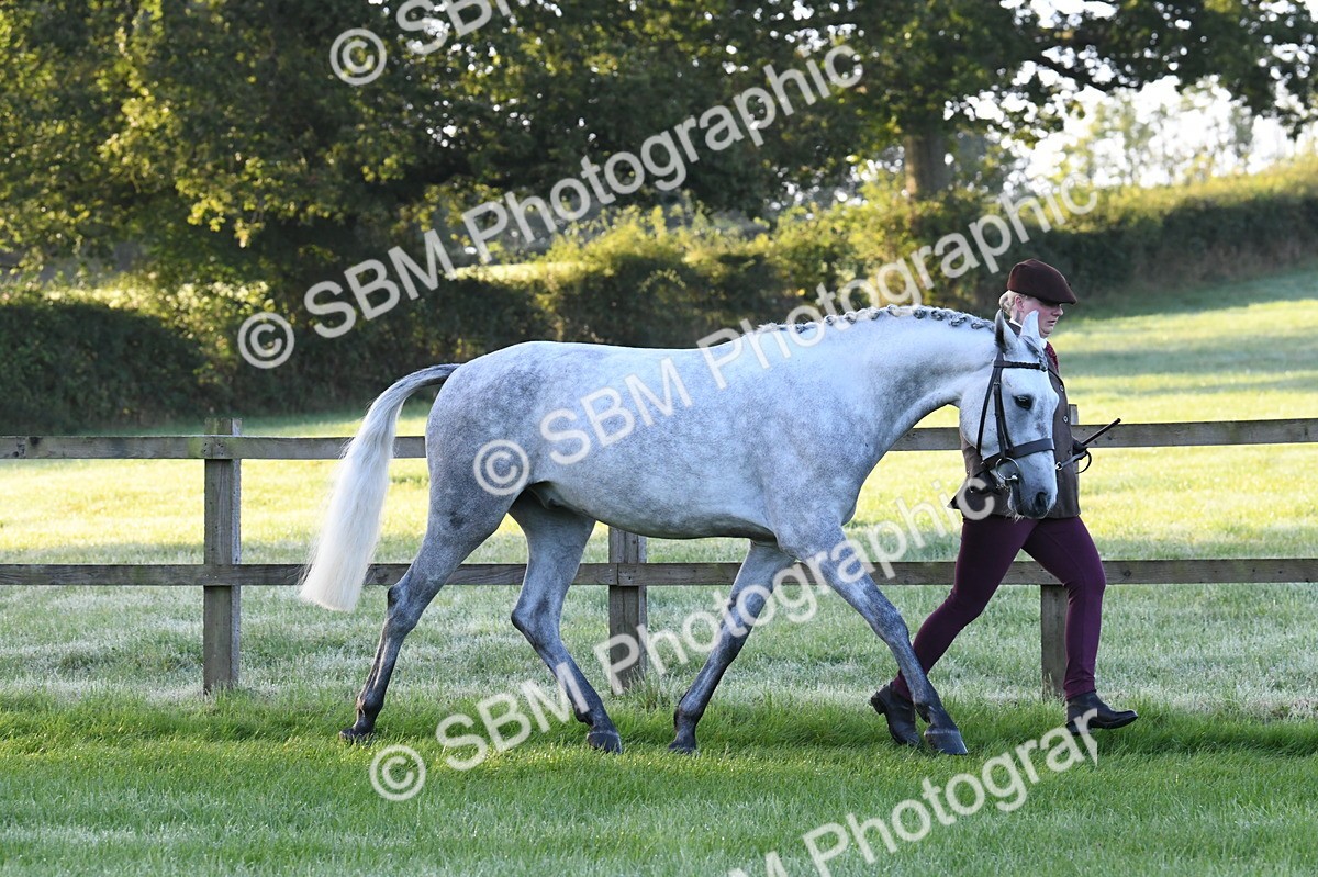SBM_32592 - S15 - Condition & Turnout In Hand