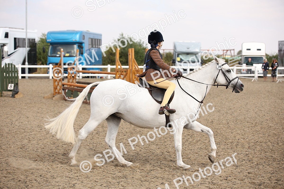 SBM_14259 - Class 407b - Working Veteran 60cm (20+)