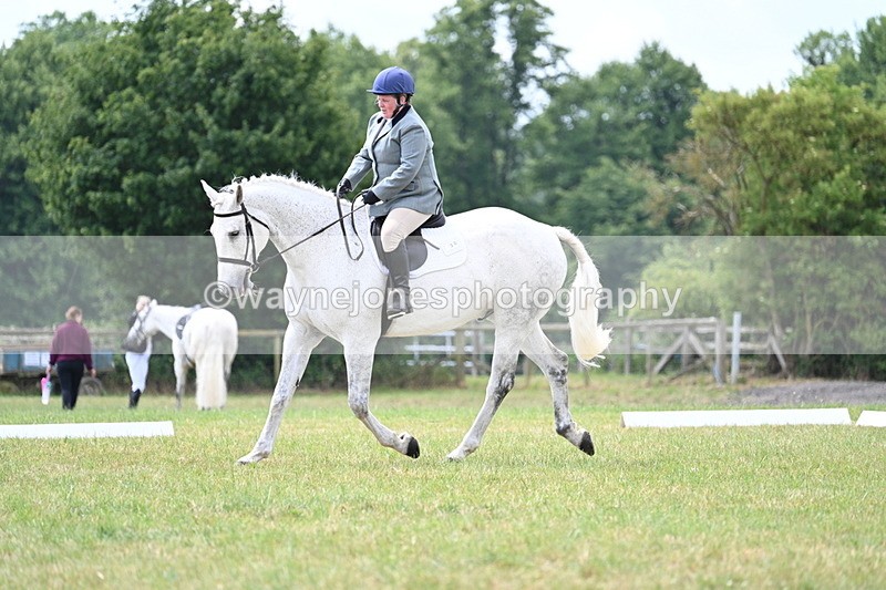 WJ7_5002 - Time 11:22 to 11:51