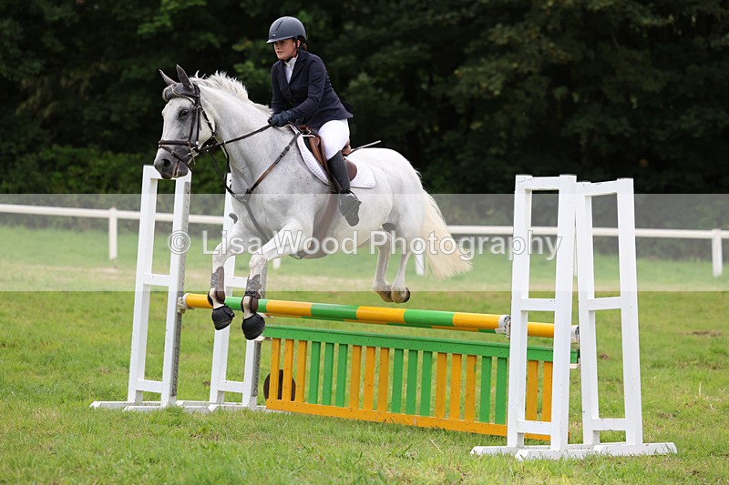 3E7A7056 - Class 5: Senior British Novice/90cm open