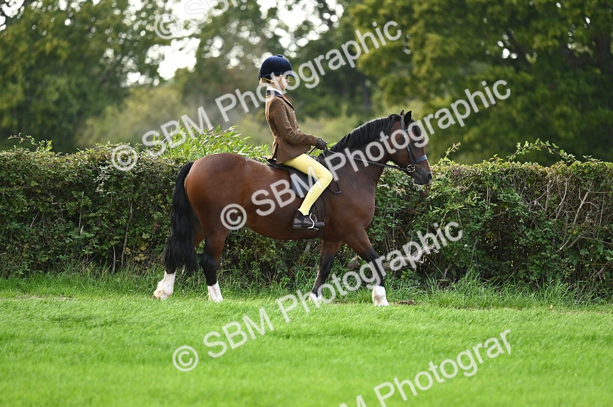 SBM_26535 - S7 - Novice & Newcomer Ridden Pony