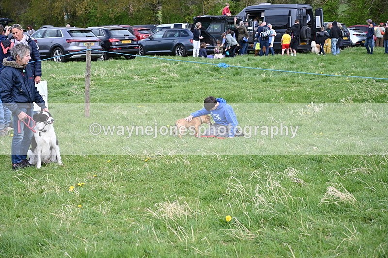 WJ6_8461 - Class 6 Best Rescue