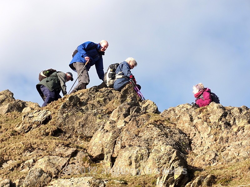 017 Cautious steps. - Lakeland Spring Challenge 2017 Collection Eight.