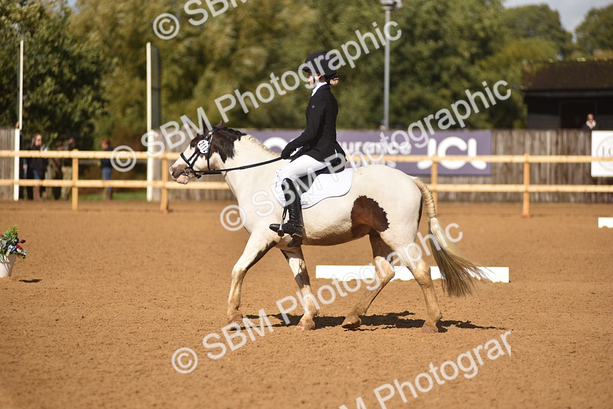 SBM_48689 - D22 - Junior Championship Intro 3