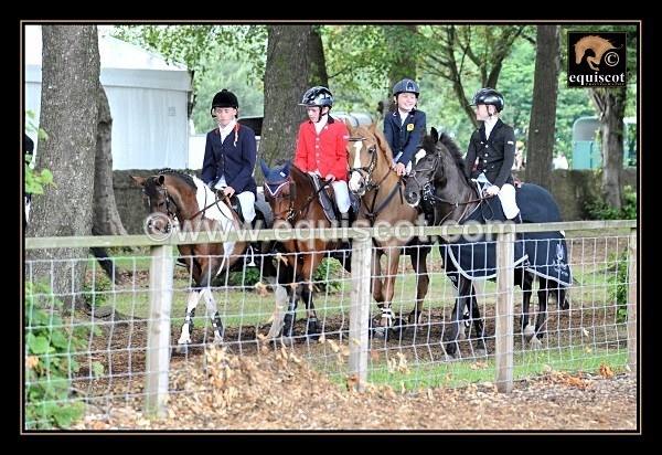 equiscot 5043 - 2012 PRIZEWINNERS INDIVIDUAL PICS