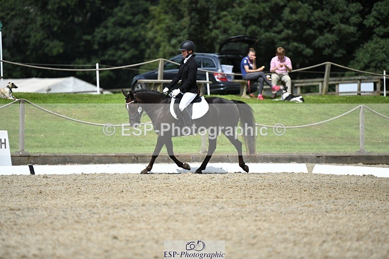 230812-121341-04061 - Cls 6 Novice Silver 12.10 to End