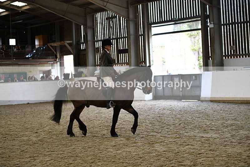 WJ5_6164 - Class 9 Ridden Veteran