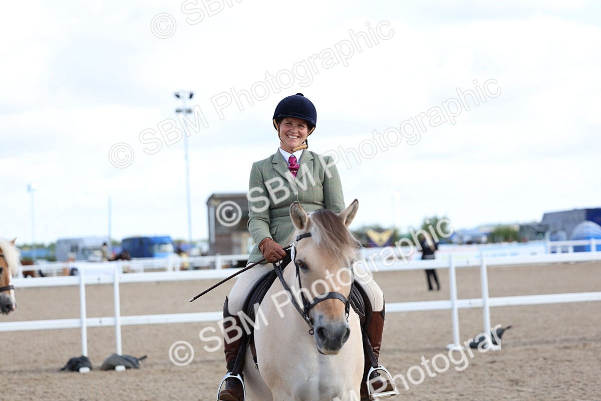 SBM_10888 - Class 305 - Ridden Foreign Breeds - Pure Bred