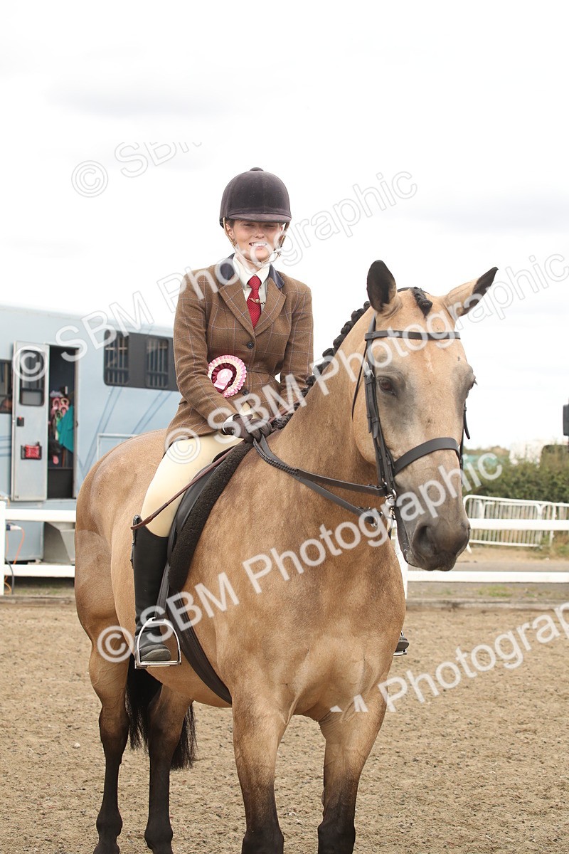 SBM_16707 - Class 507a - Working Veteran - 60cm (15-19)