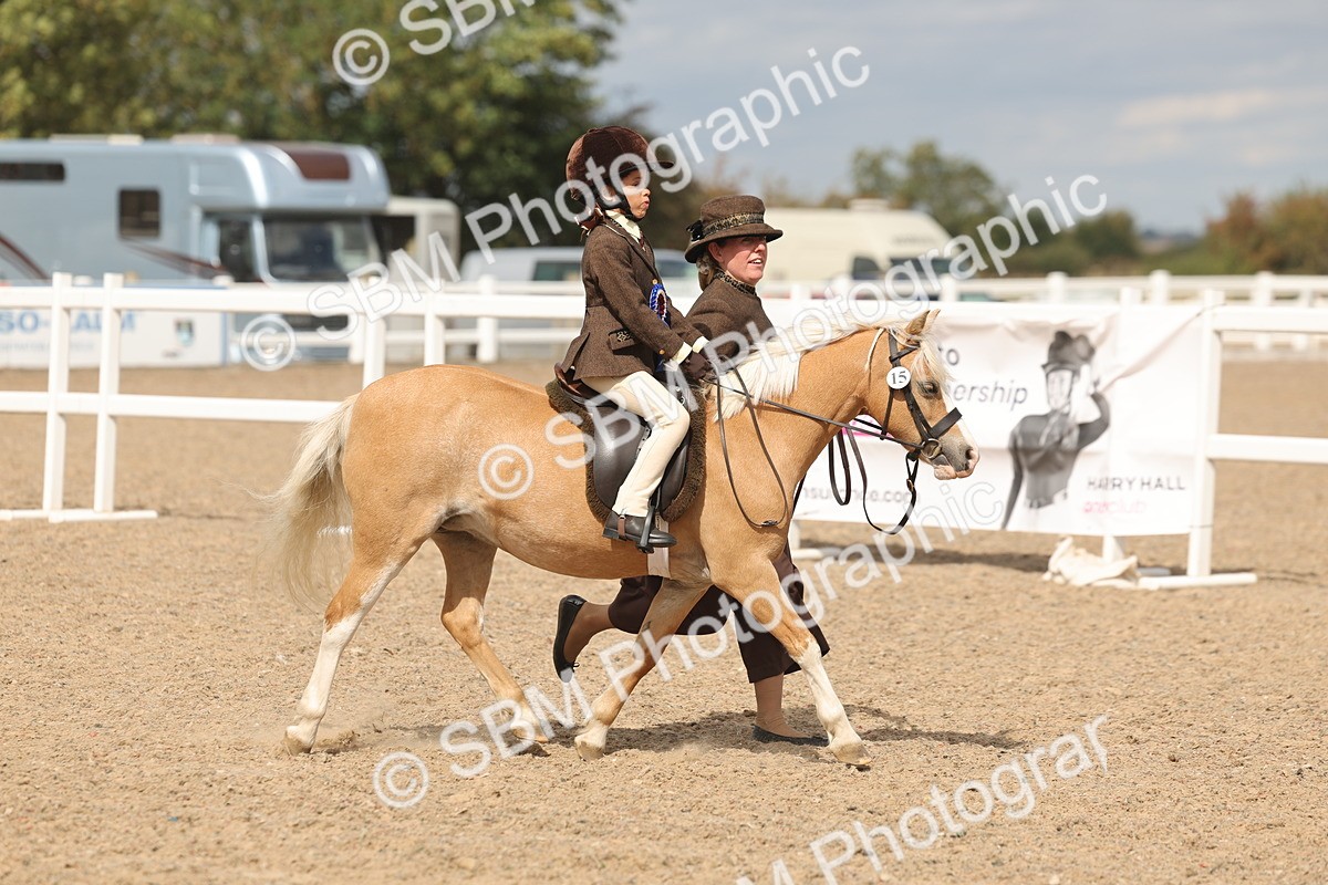 SBM_15858 - Class 309 - Lead Rein Pony