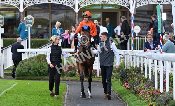 200825-282 Rubys Angel - Race 7 5.20pm Sky Bet Nursery Handicap