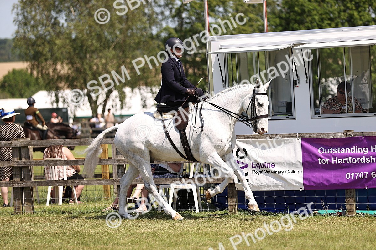 SBM_15050 - Class 79-80 - LIHS BSHA Rising Star Ridden Hunter