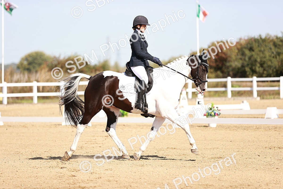 SBM_004357 - Class 12 - Novice 5 - 10.31-11.41