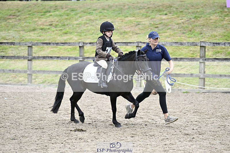 240822X-140330-08735 - 40cm LR R2 13.00 to 15.00