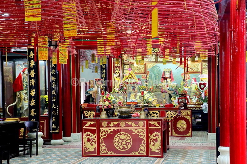 VIET_0396 - Vietnam 2017