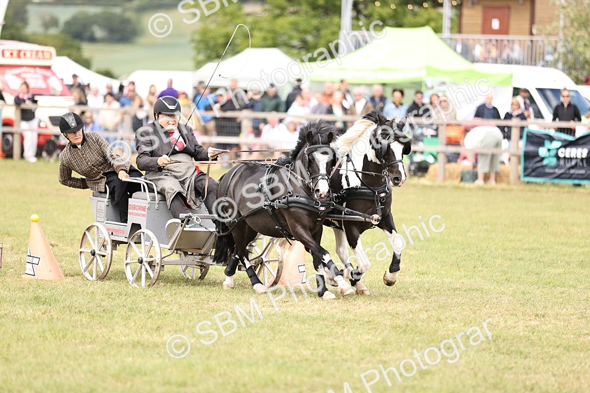 SBM_16087 - Class 91 - Scurry  exceeding 122cms
